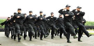 营口辅警最新爆料,揭秘背后真相与内幕